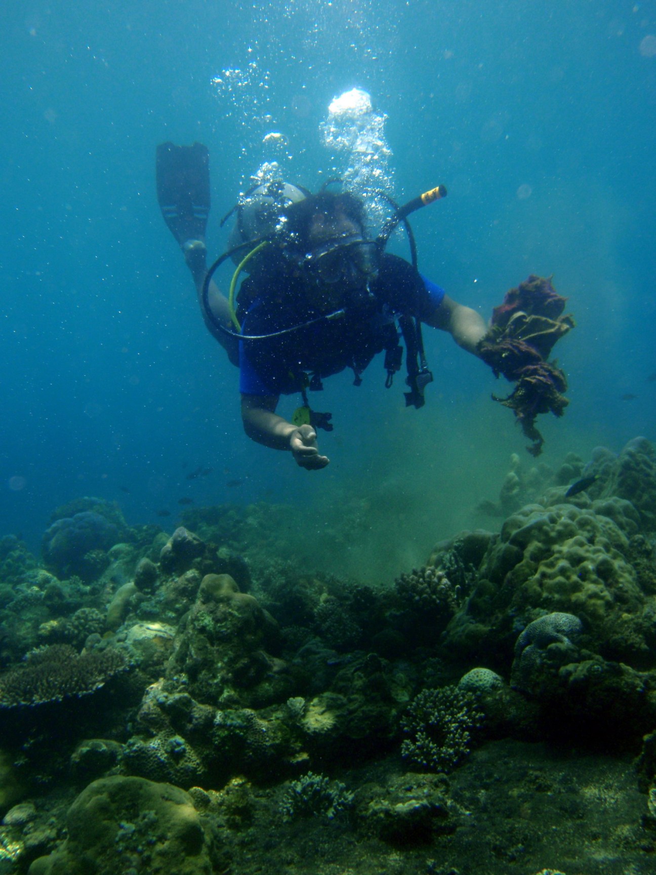 Two scuba divers exploring a coral reef in turquoise waters off Bali.