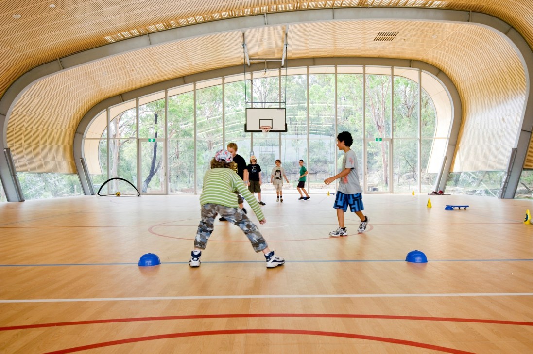 Children playing basketball in a curved sports hall with wooden interior and large windows overlooking eucalyptus forest.