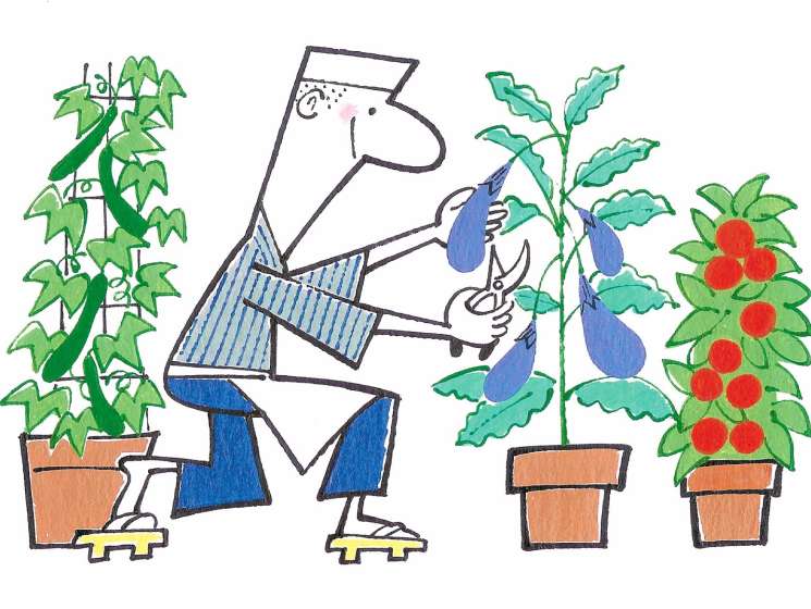 Illustration of a person tending to potted plants with vegetables and herbs in an urban farming setting.