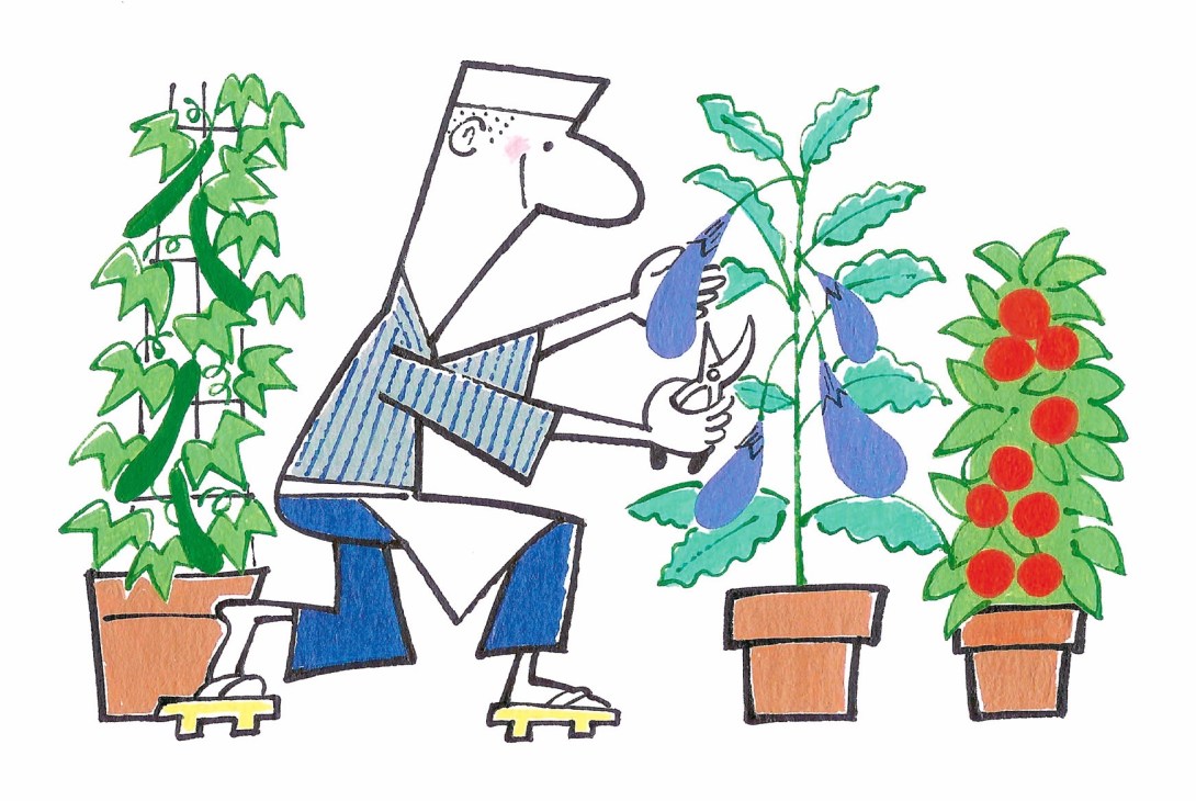 Illustration of a person tending to potted plants with vegetables and herbs in an urban farming setting.