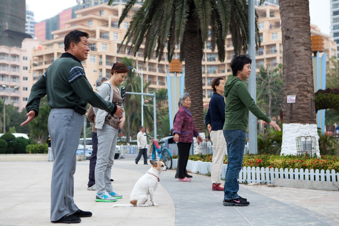 People exercising on a seafront promenade in Sanya Bay with palm trees and residential buildings in the background.