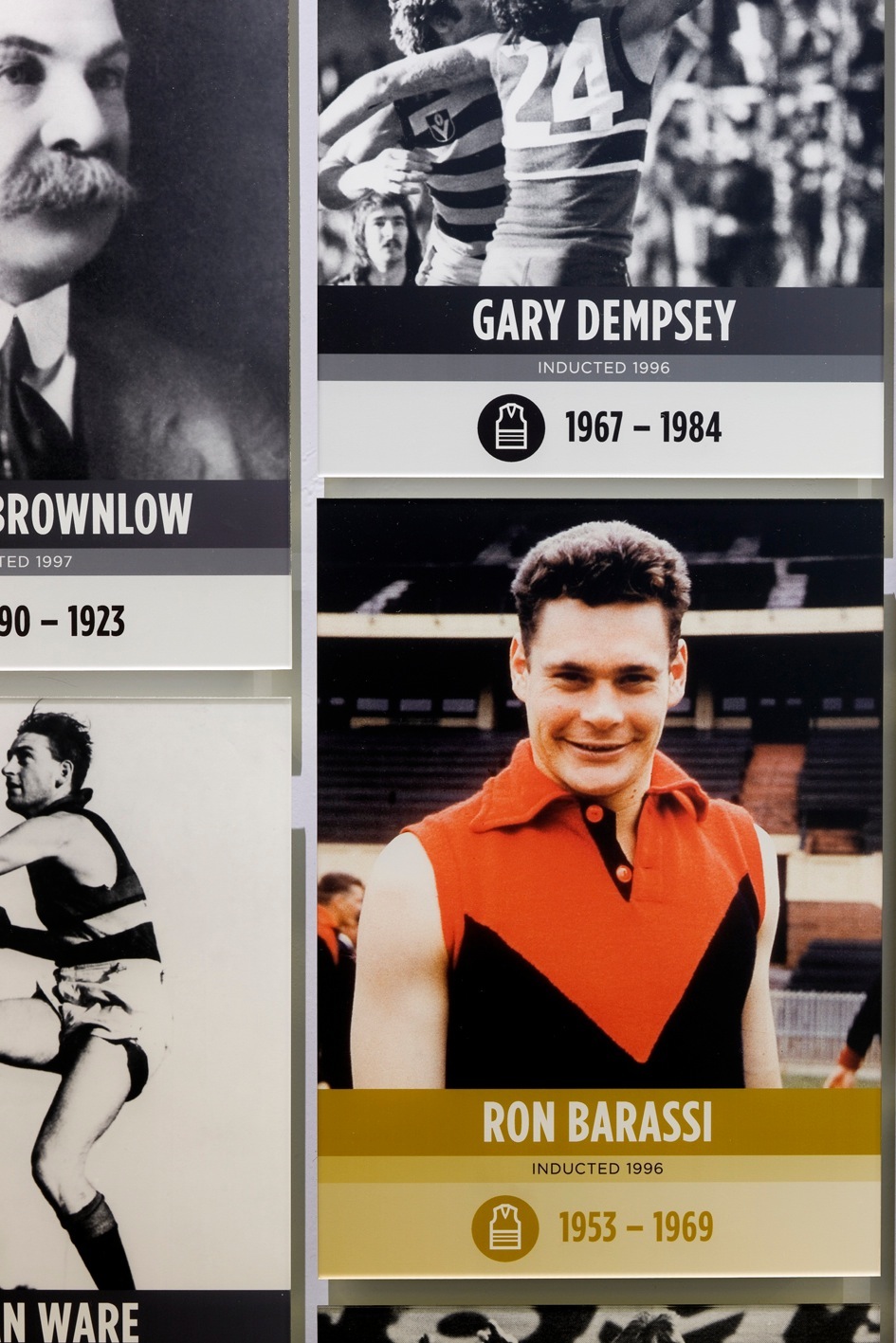 Museum display showing Ron Barassi's career timeline from 1953-1969 with his photo in red and black football uniform.