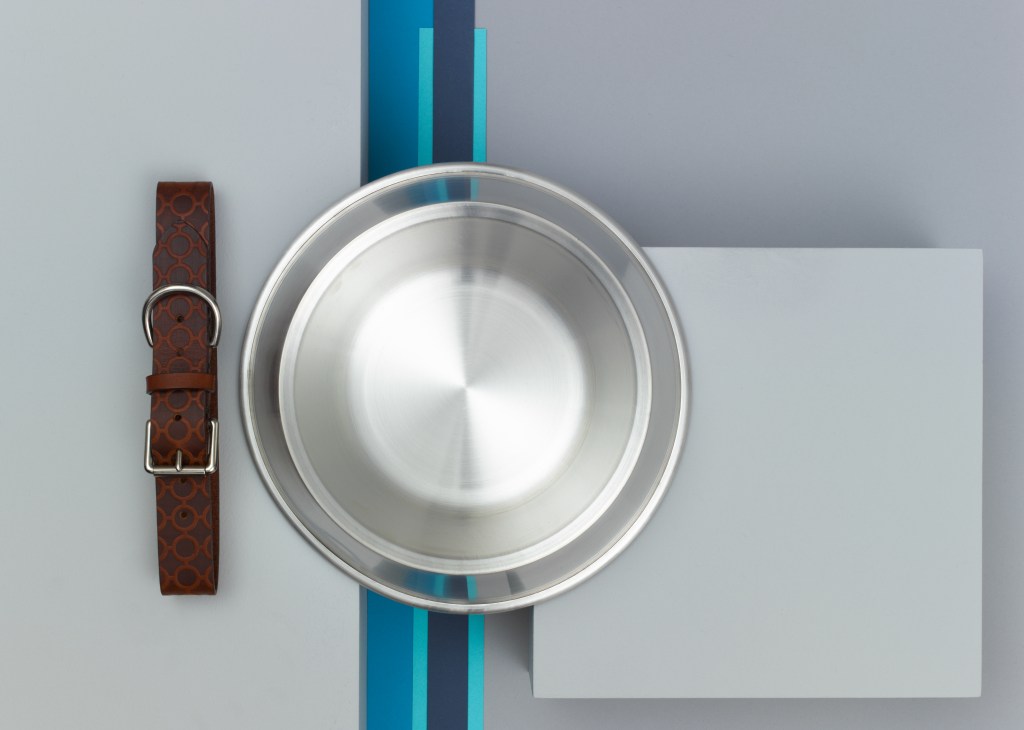 Bone and Rag stainless steel dog bowl with brown leather patterned collar on striped background.