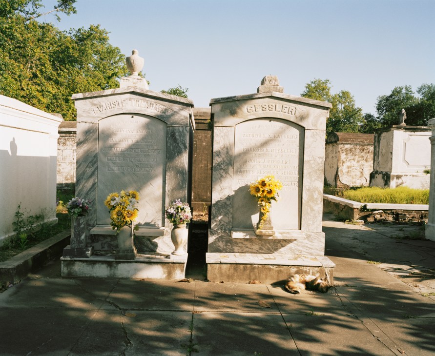 Historic cemetery in New Orleans with marble above-ground tombs adorned with yellow flowers.