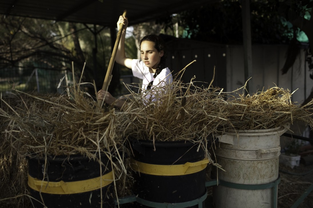 A girl works in the stables at Ma'agan Michael, Israel's largest kibbutz on the foothills of the town Zichron Ya'akov