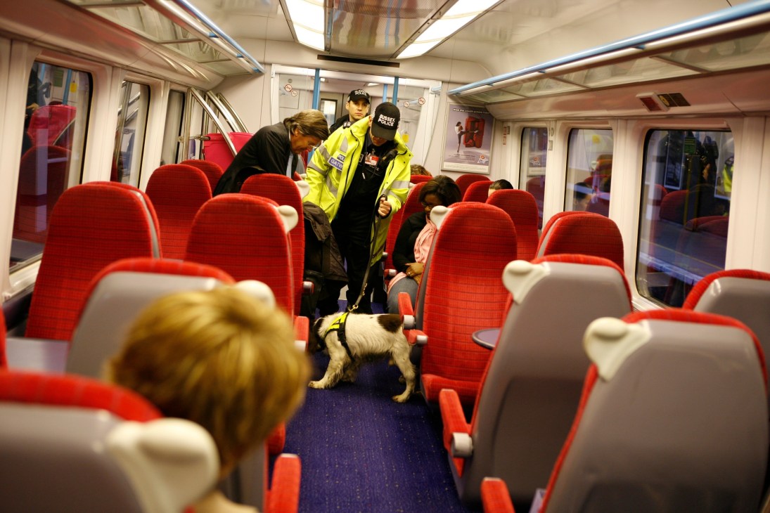 Oscar the spaniel searches a Gatwick Express train with armed police officers and passengers aboard.