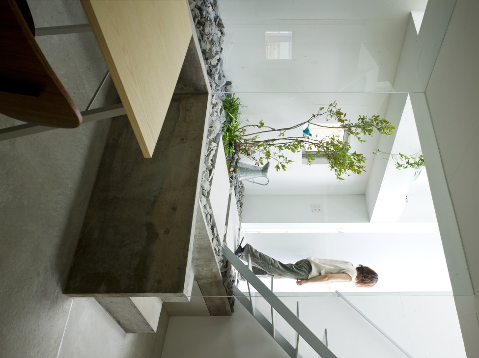 Person lying on a white platform overlooking an indoor courtyard with climbing vines and natural skylight.