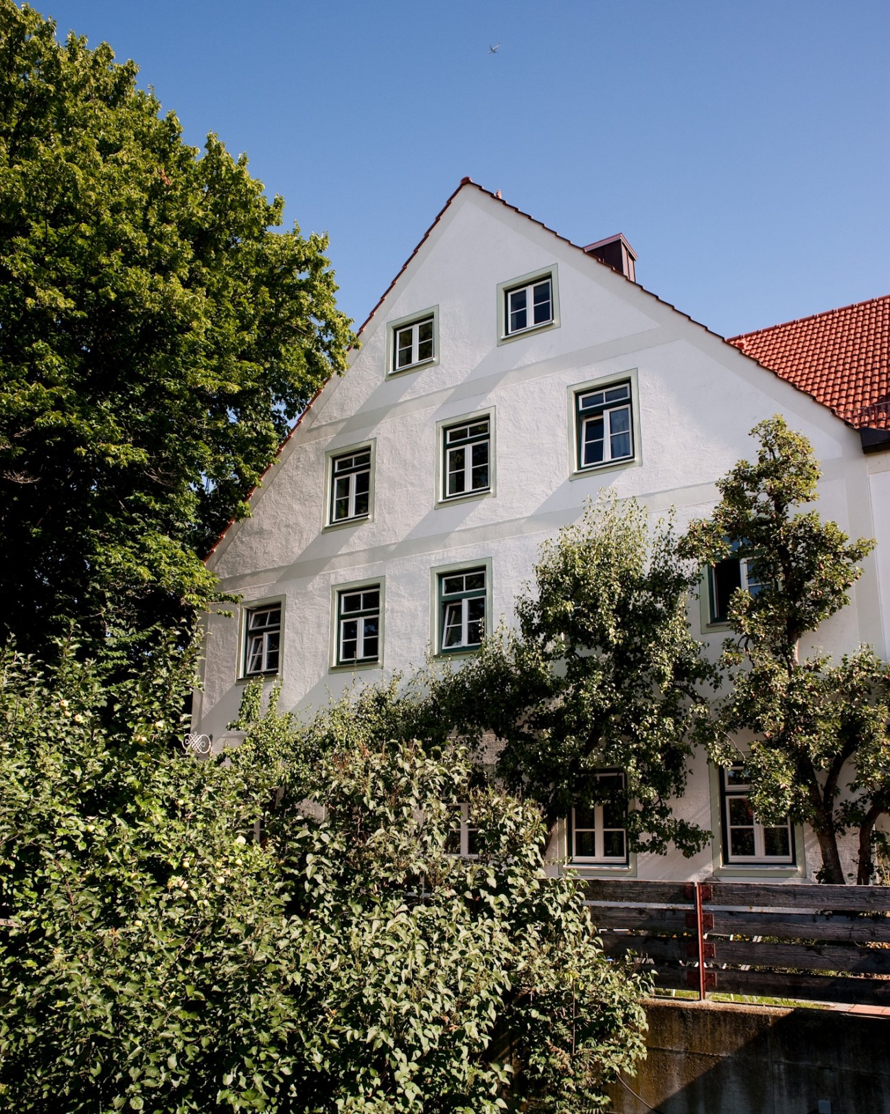 White-walled traditional Bavarian building with red-tiled roof surrounded by climbing ivy and green vegetation.