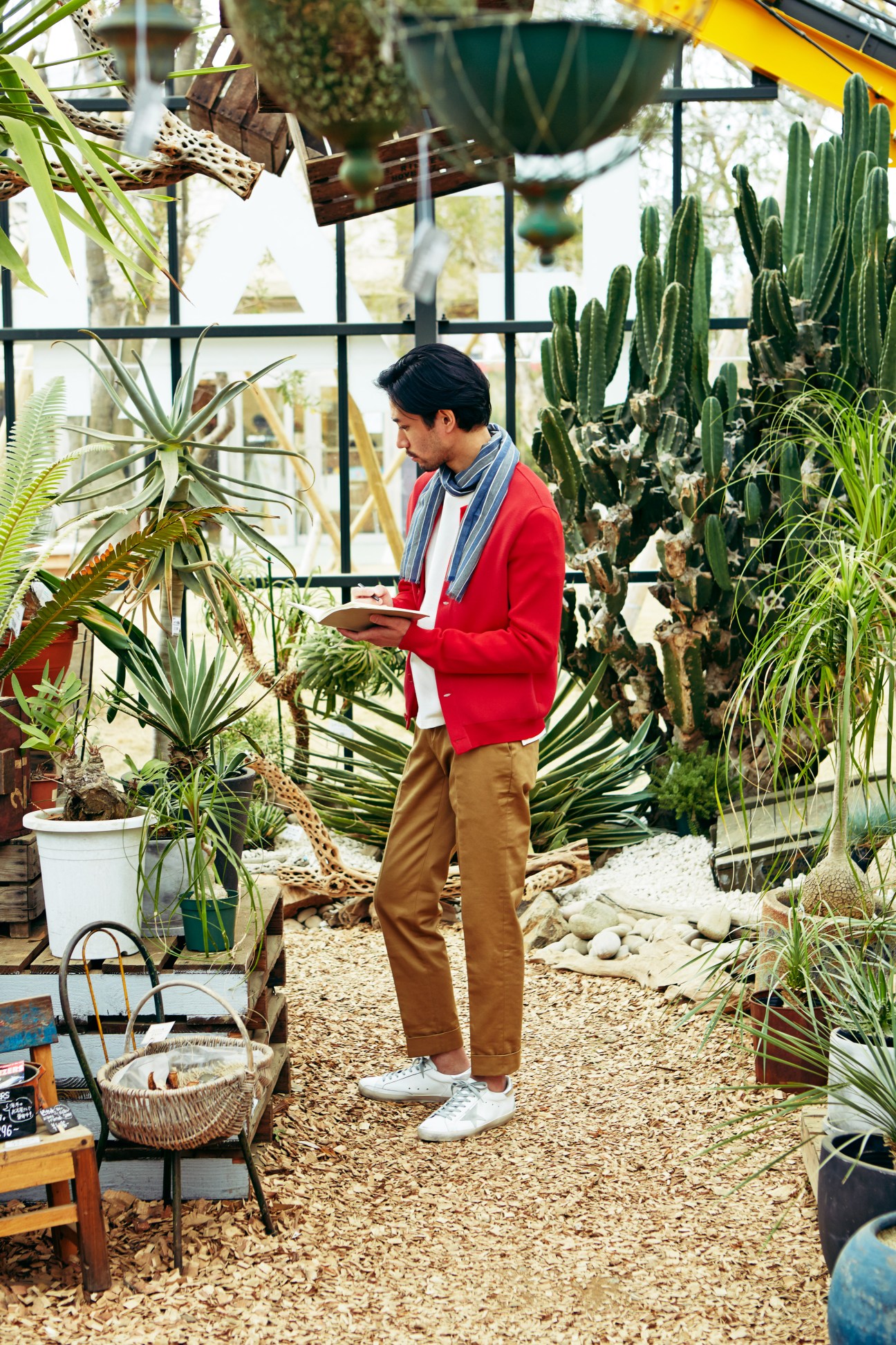 Man wearing red Emporio Armani knitted jacket, PT01 trousers and Golden Goose trainers in a greenhouse surrounded by cacti and plants