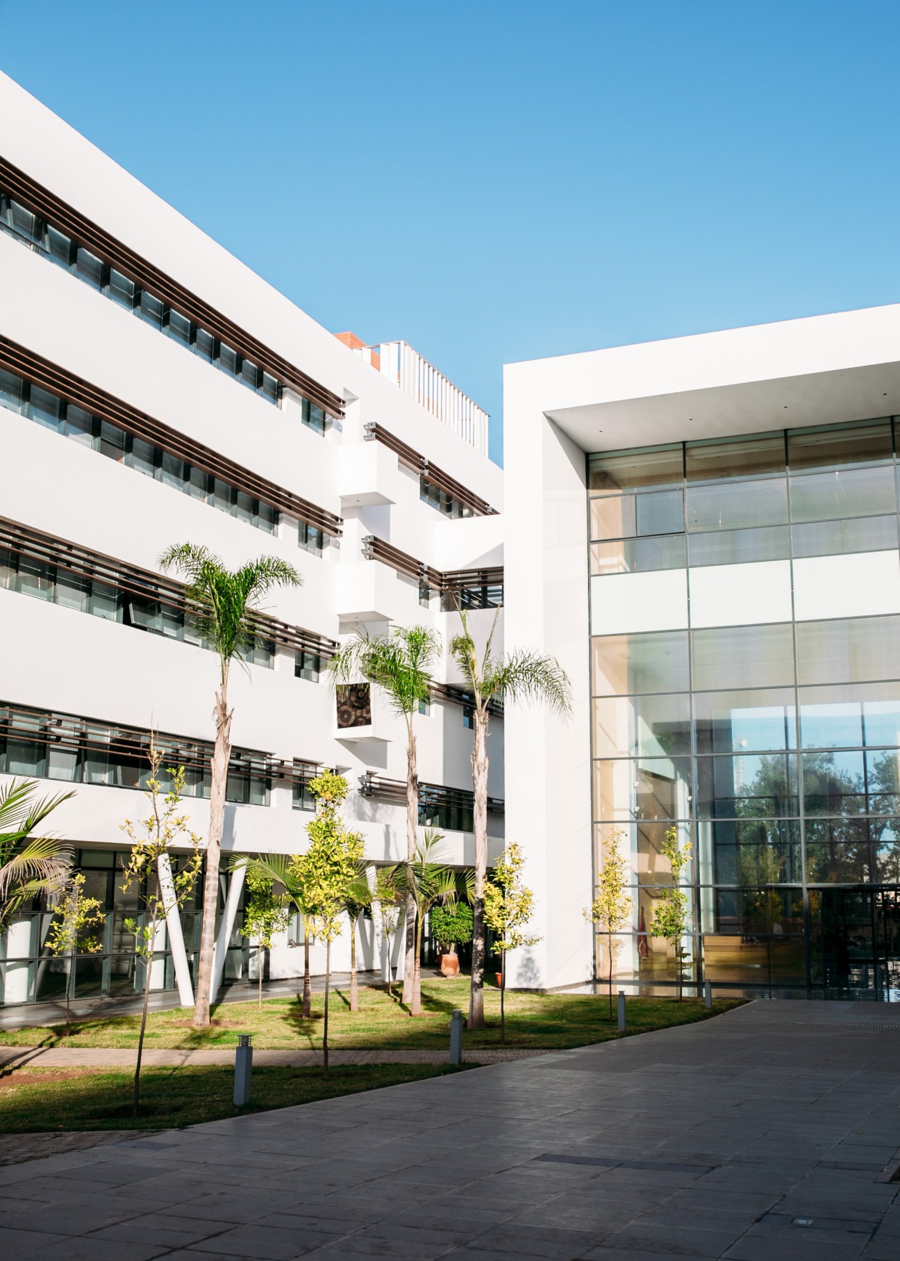 Modern white multi-story building with curved balconies, palm trees and landscaped courtyard under clear blue sky.