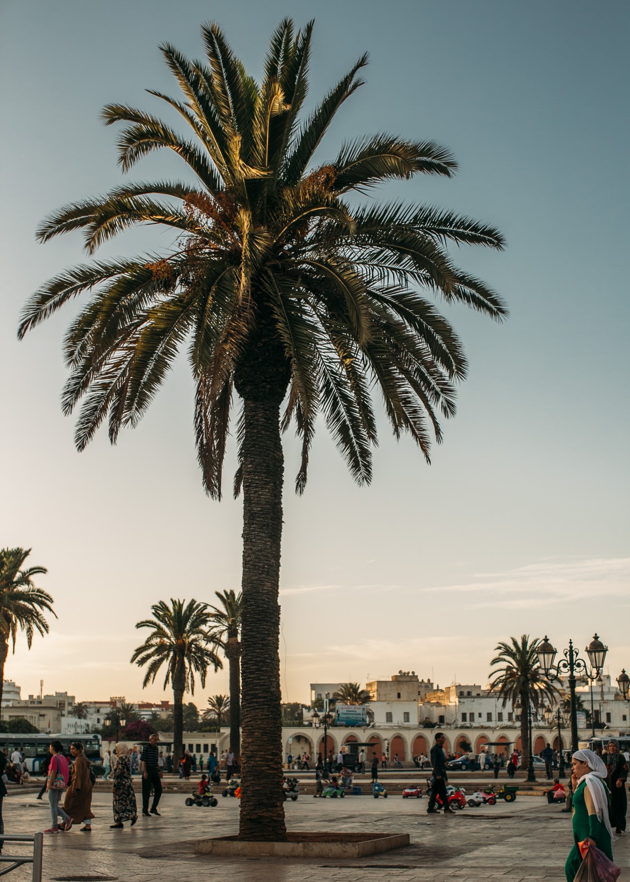 Palm tree in Kasbah Oudayas Medina plaza with people and traditional buildings at dusk.