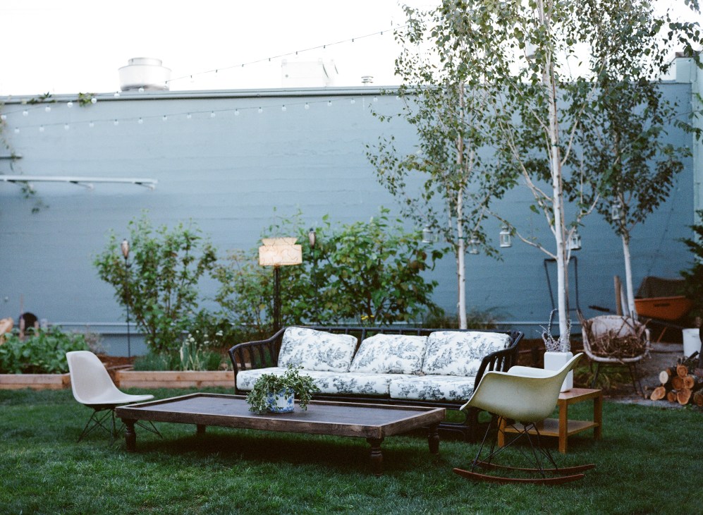 Outdoor garden seating area at Stray Dogs with patterned sofa, modern chairs, and birch trees against a blue wall.