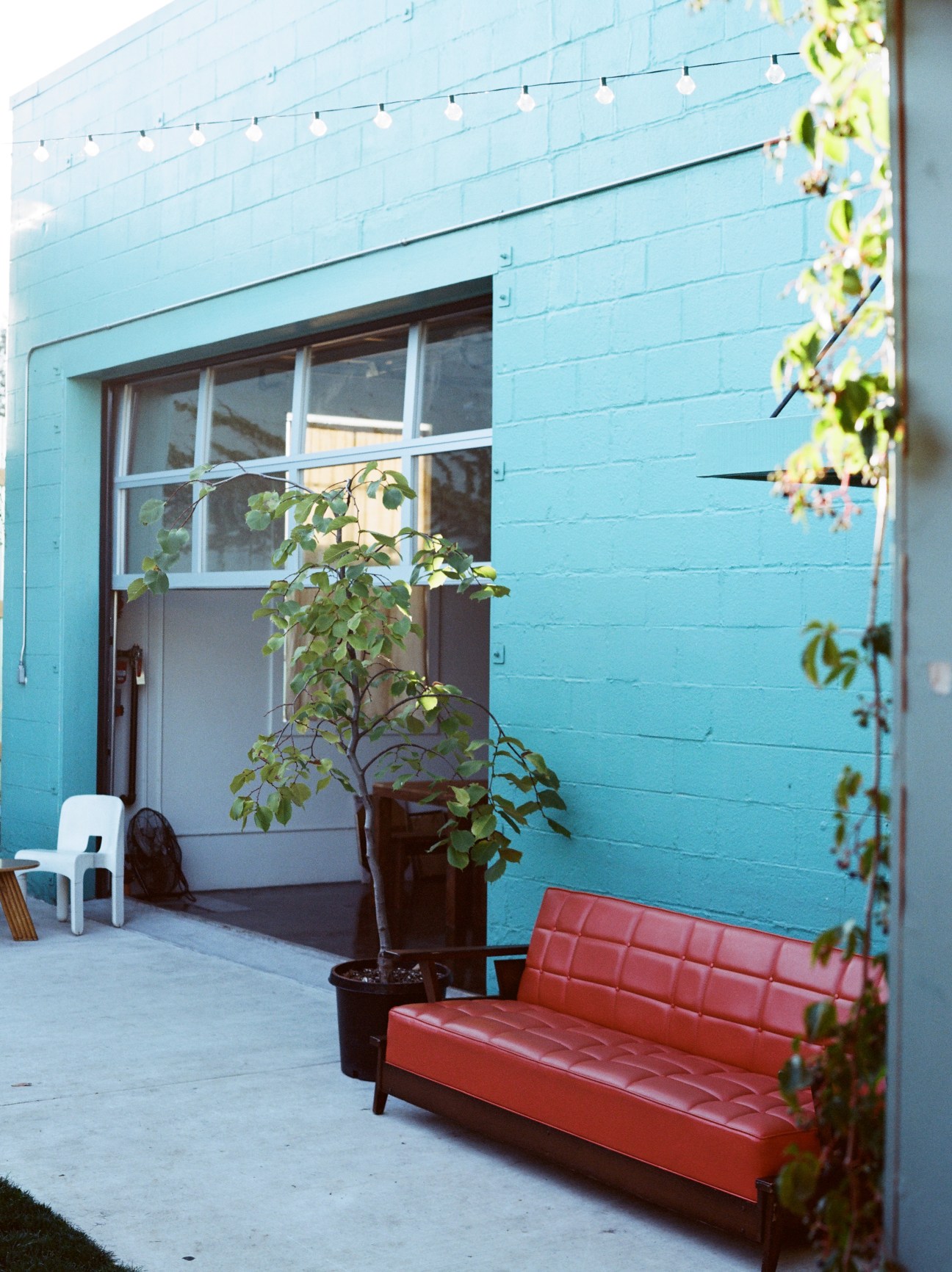 Light blue building exterior with red bench, potted plant, and string lights at Stray Dogs restaurant.