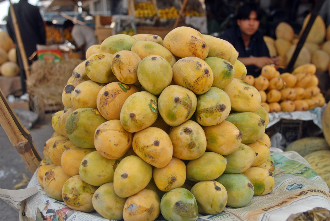 A pyramid stack of yellow Chaunsa mangoes at a market display.