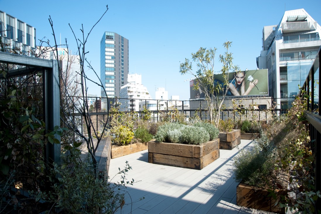 Communal rooftop garden with wooden planters, vegetation, and Harajuku cityscape views.