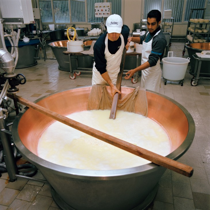 Cheesemaker stirring large vat of milk curds with wooden tool at Caseificio Val Ceno dairy.