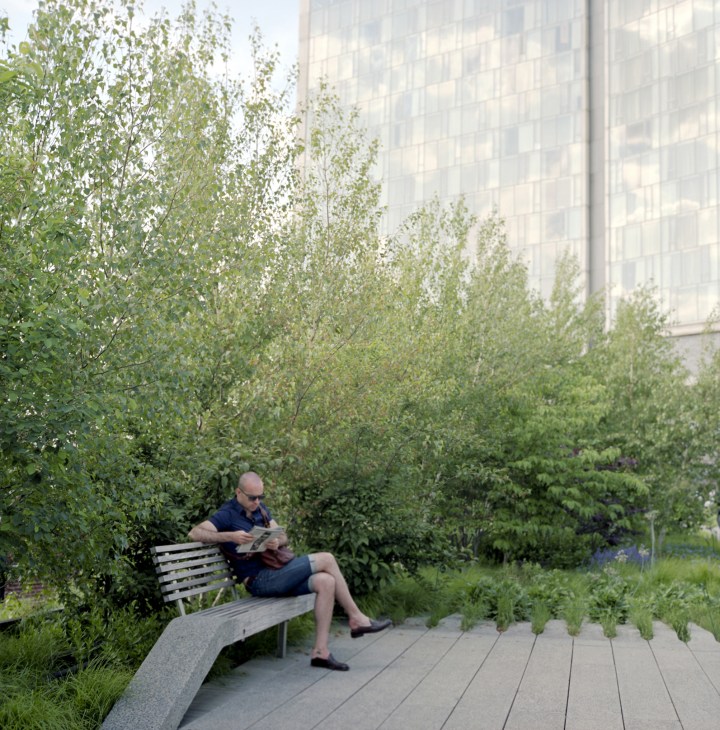 Man sitting on a bench reading a newspaper on the High Line park in New York City.