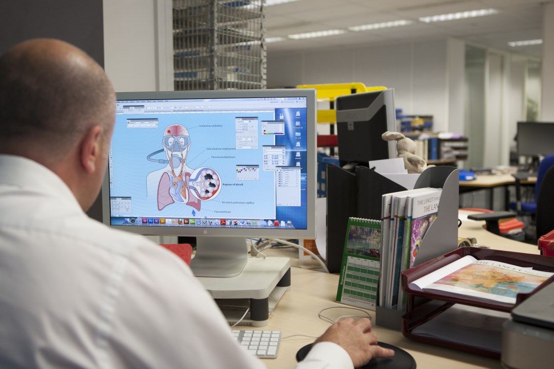Man viewing medical illustration of human cardiovascular and respiratory systems on computer monitor in office.