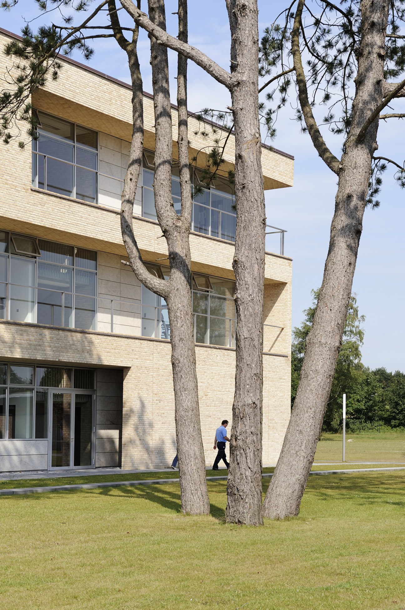AP Møller School exterior with large trees on manicured lawn and person walking past brick building.
