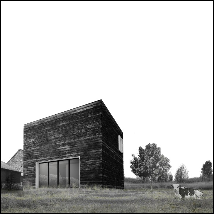 Minimal cubic house with burnt wood cladding in rural Normandy landscape with cow and trees.