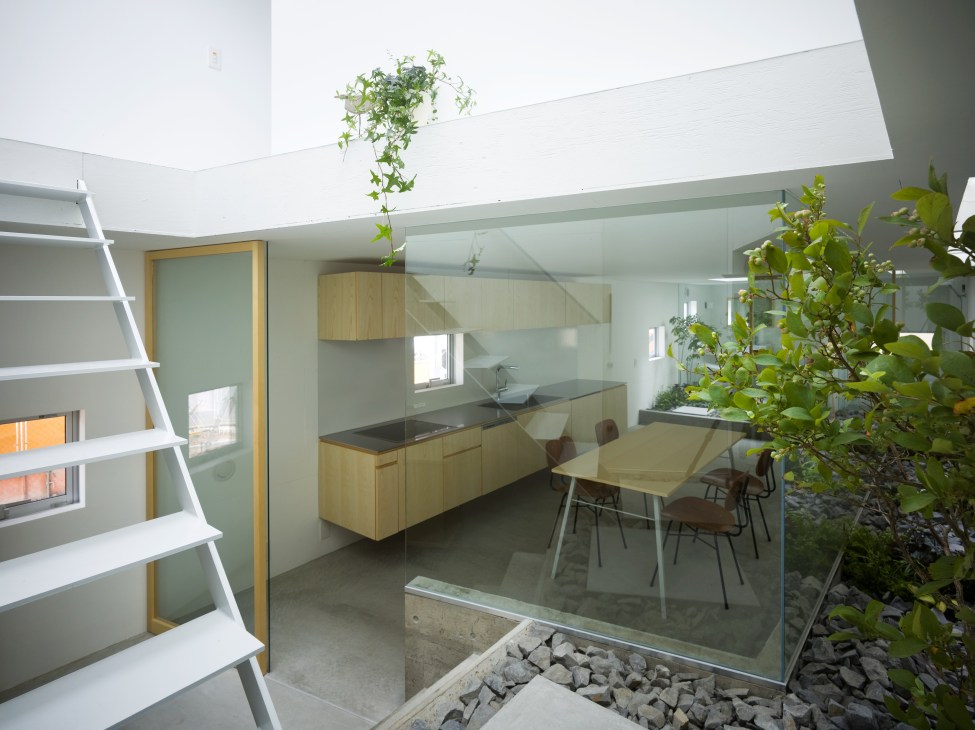 Modern kitchen and dining area with wooden cabinetry, glass walls overlooking an indoor courtyard garden with plants and stones.
