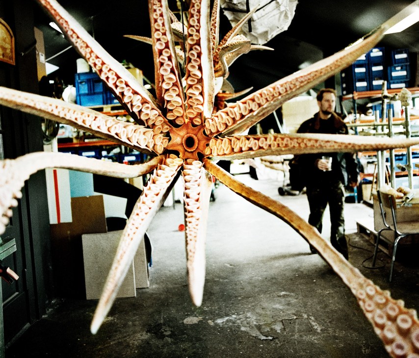 Detailed model of a giant squid with textured tentacles and suckers displayed in a studio.