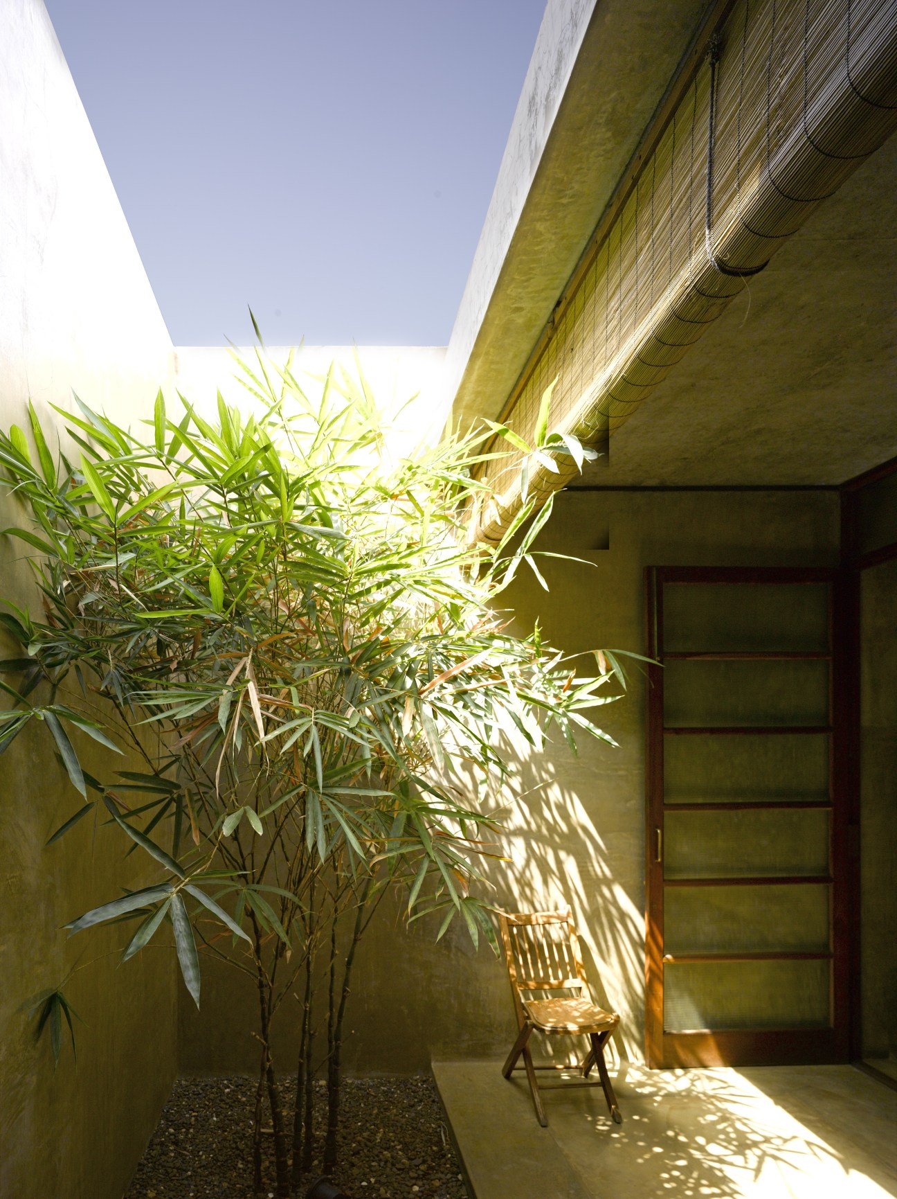 Sunlit courtyard with ochre-colored walls, bamboo plant, and wooden door at Utsav House.