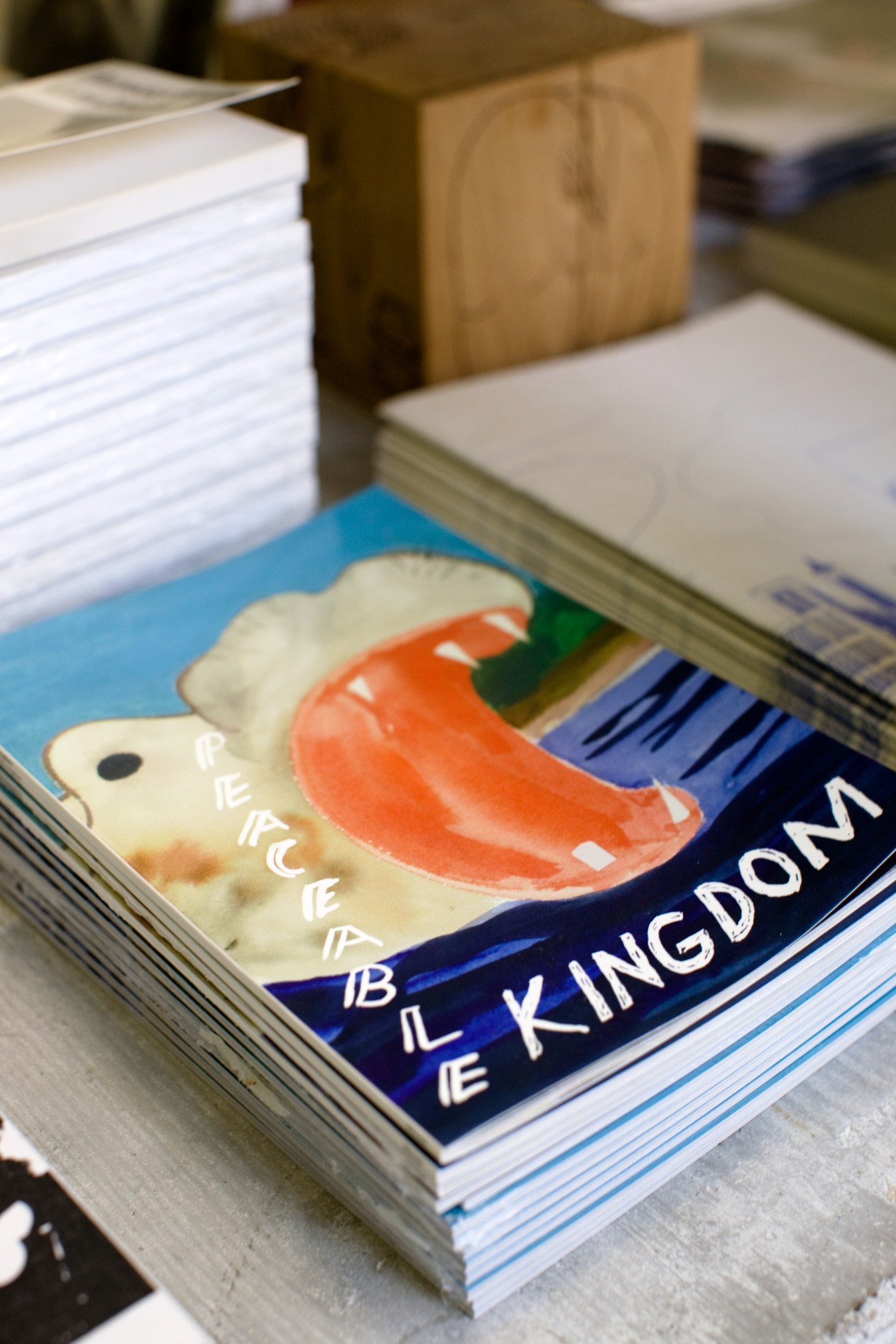 Stack of Nieves books with illustrated cover featuring an orange fish and blue text.