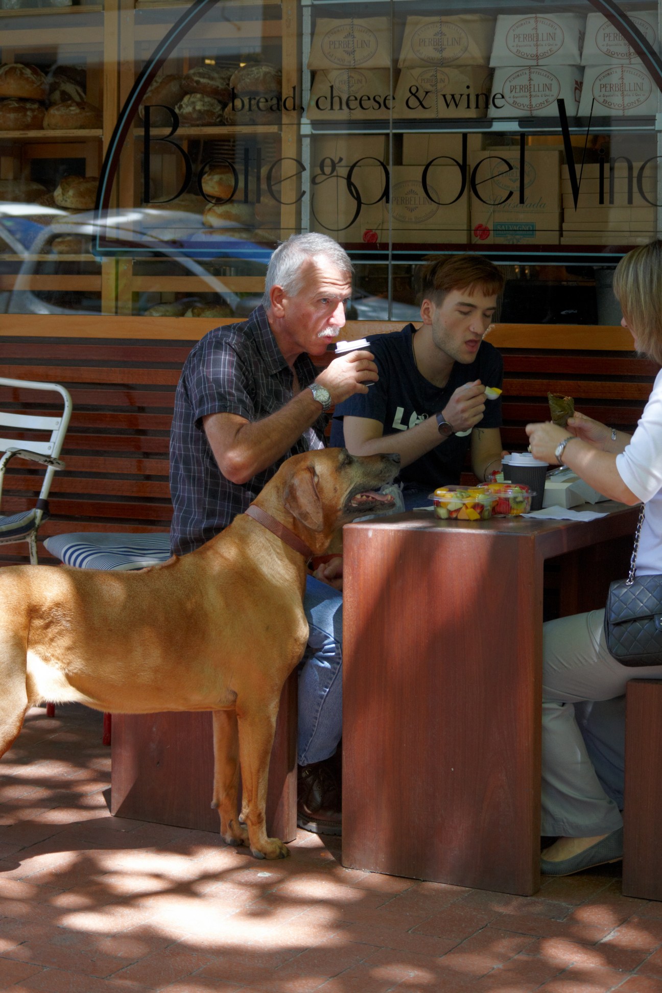Man with mustache eating outdoors at Bottega del Vino with others and a brown dog nearby.