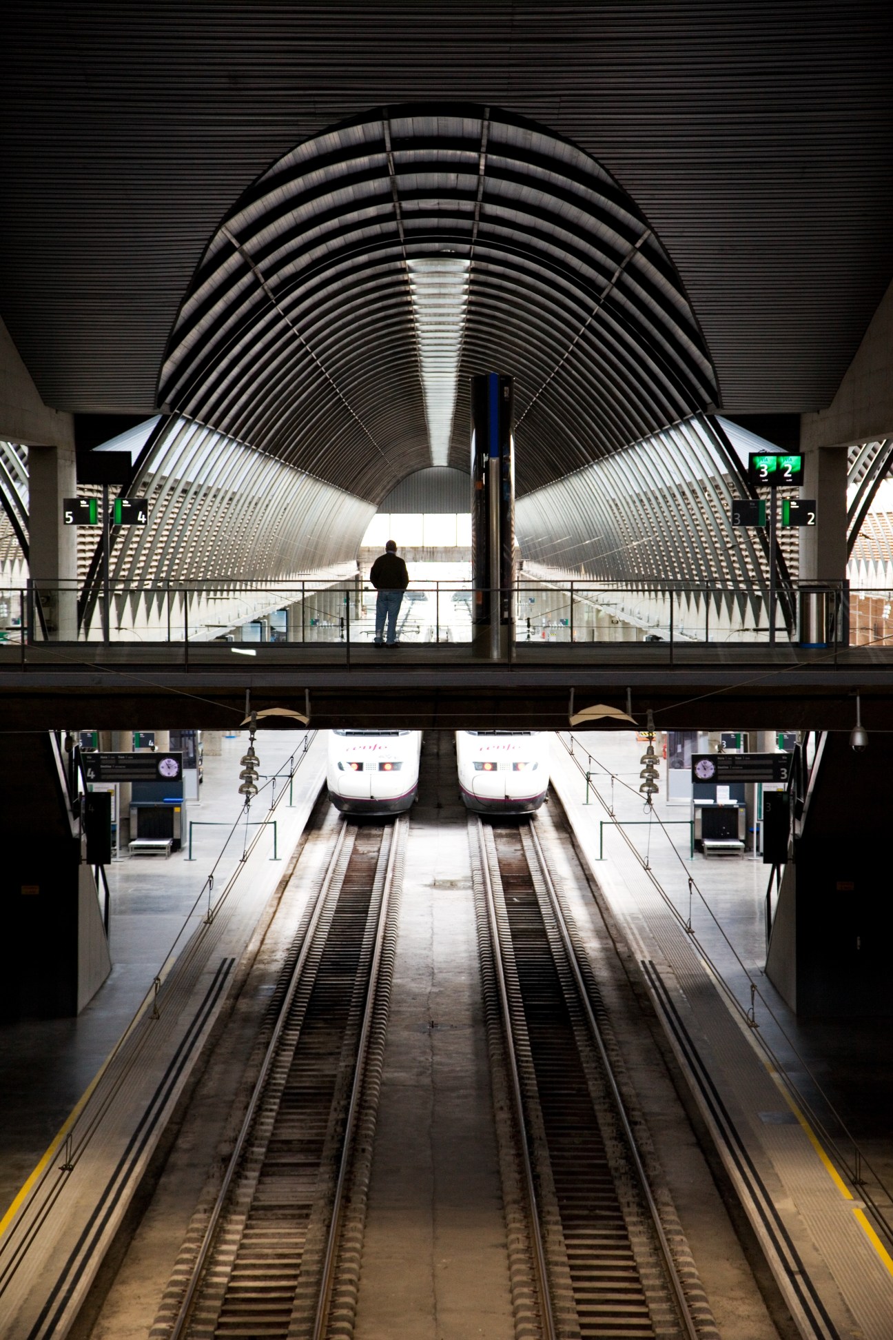 Modern high-speed rail station with symmetrical arched ceiling, tracks, and waiting passenger.