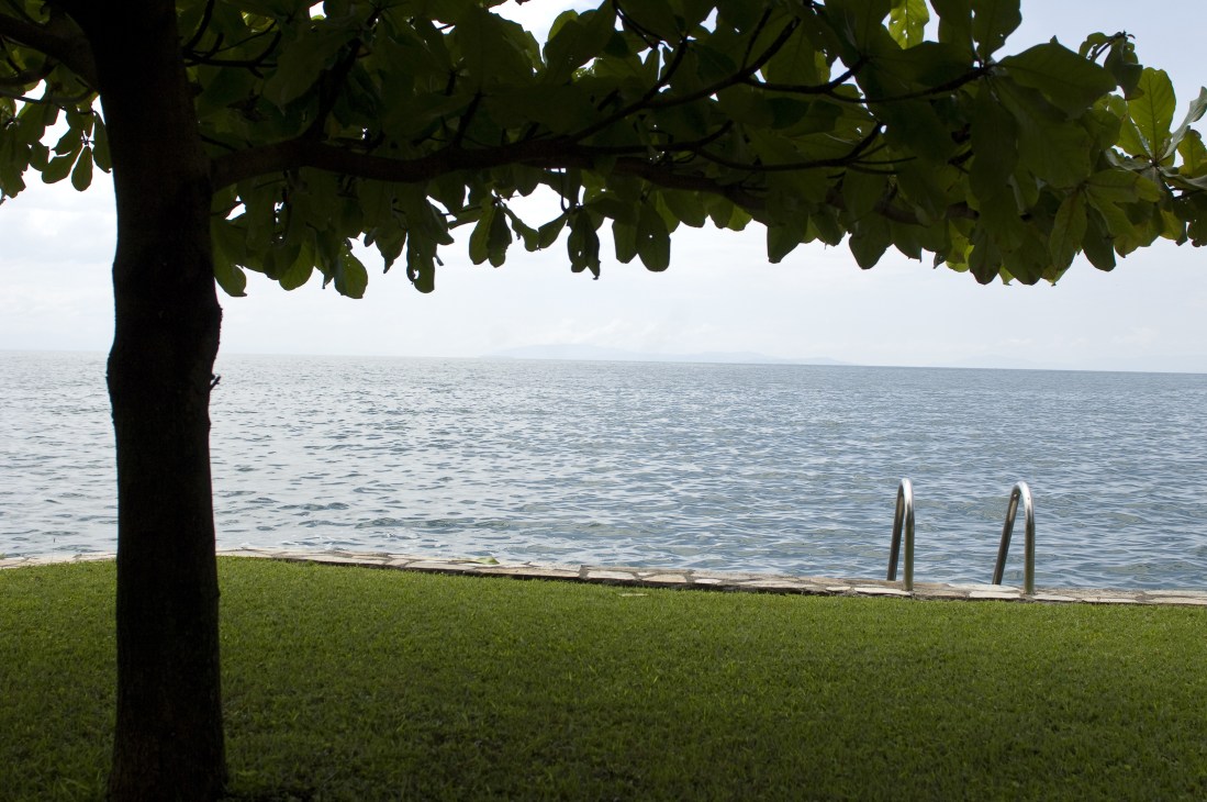 Lake Kivu waterfront with manicured lawn, tree, and swimming pool ladder.