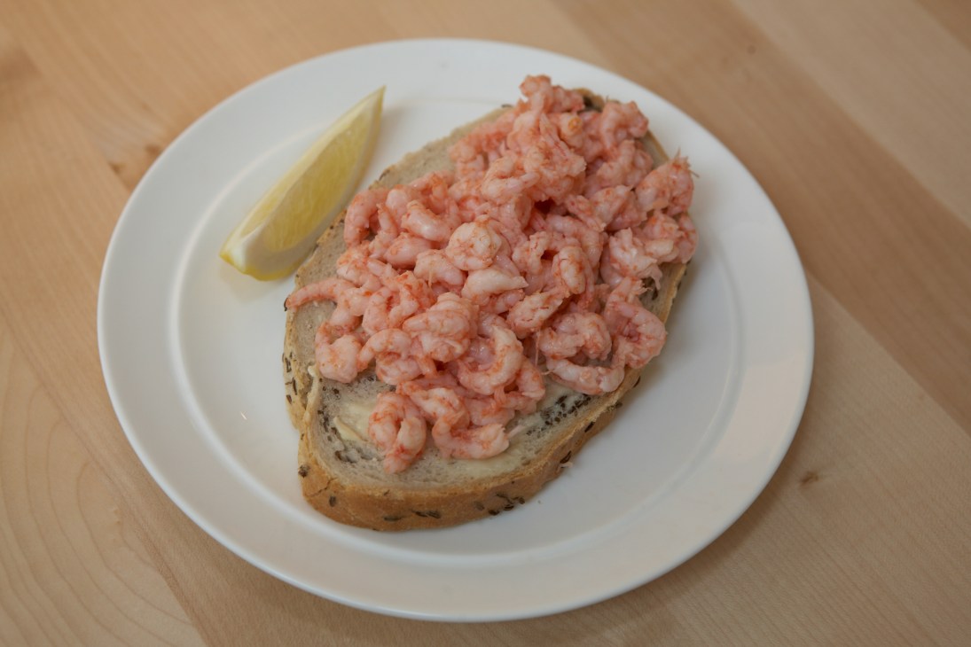 Peeled fjord shrimps on buttered sourdough bread with a lemon wedge on a white plate.