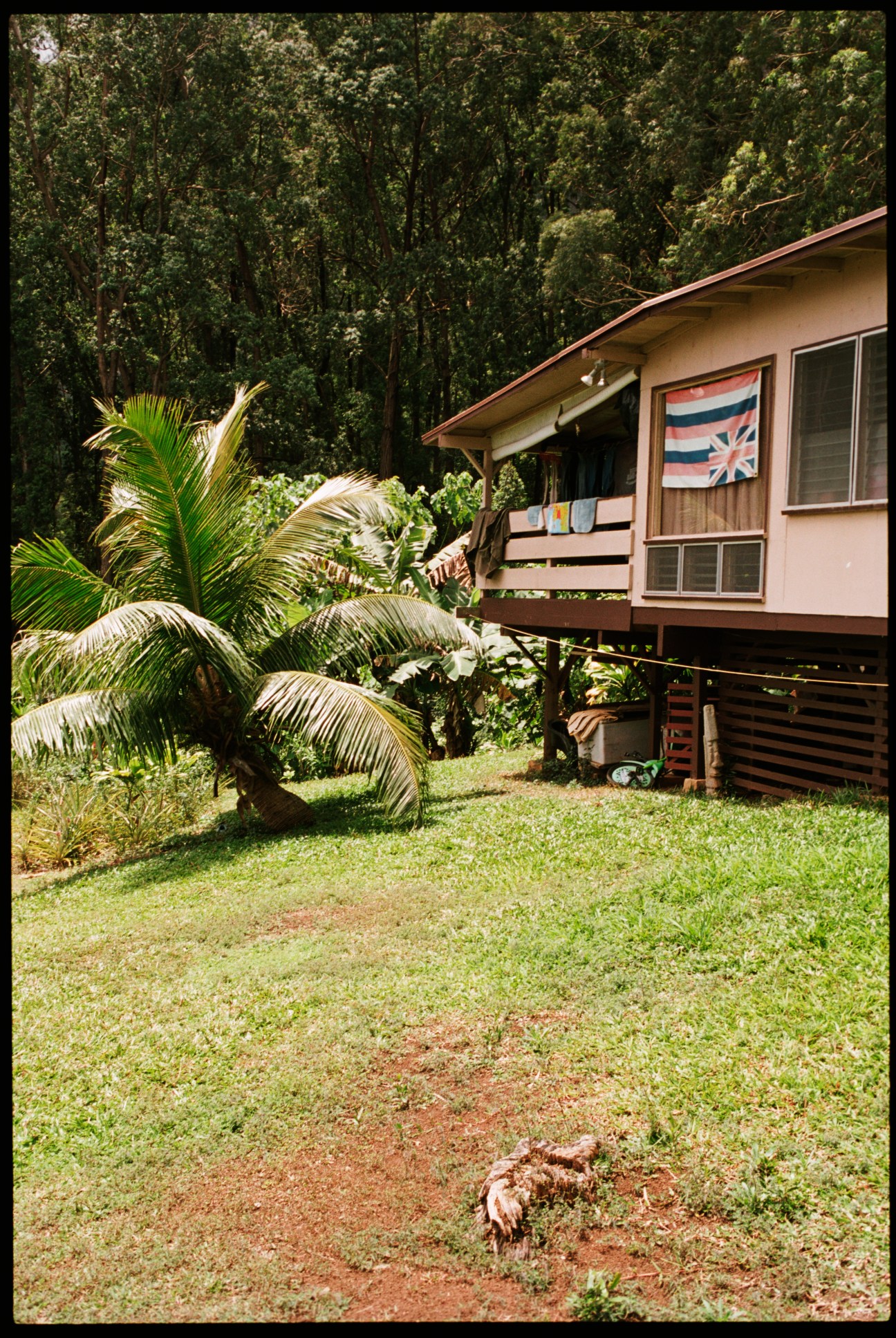 A modest pink house on stilts in a mountainous, forested area with palm trees and tropical vegetation, displaying a Hawaiian flag on its exterior.