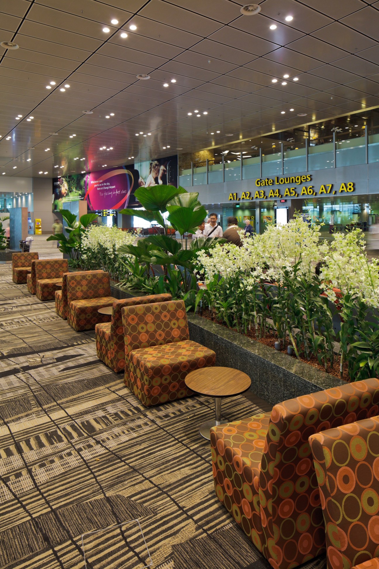 Changi airport lounge with patterned seating, potted flowers, and signage for gate lounges.