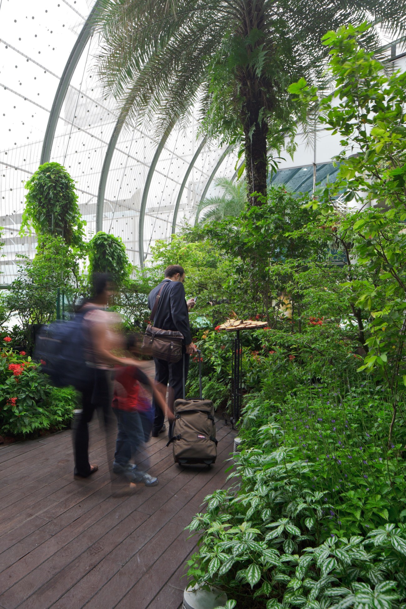 Interior of Changi airport greenhouse with lush tropical plants and visitors walking on wooden deck