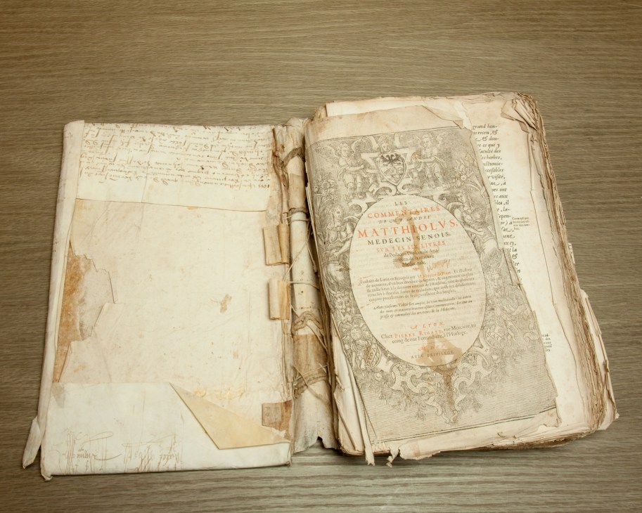 An open antique 16th-century botanical book by Pietro Andrea Mattioli displayed on a wooden surface.