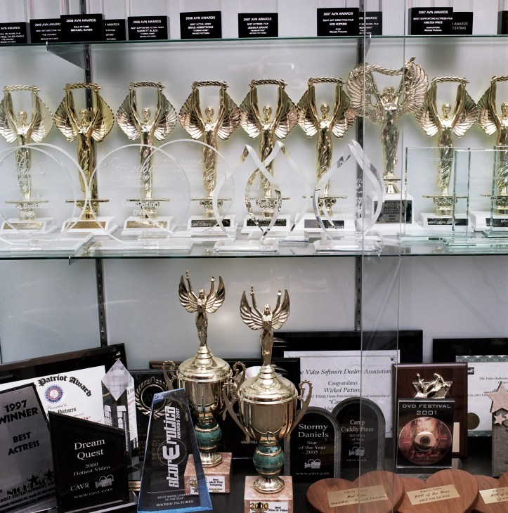 Glass display cabinet filled with golden winged angel trophy awards and plaques from adult film industry ceremonies.