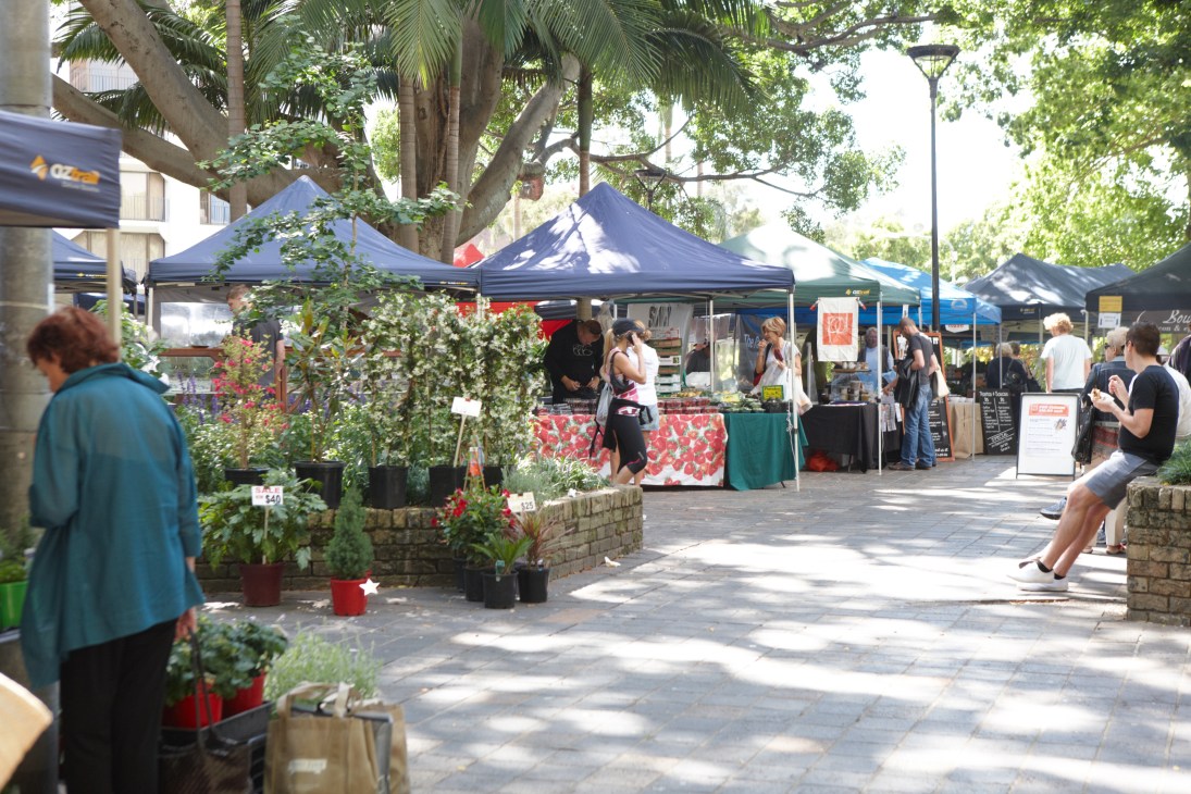 Kings Cross organic food and farmers market with blue vendor tents, shoppers, and plants under leafy trees.