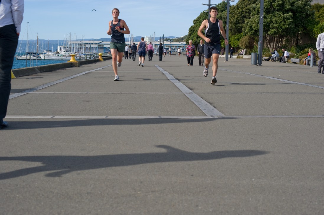 Runners jogging on Wellington's waterfront promenade with sailboats and harbor in background.