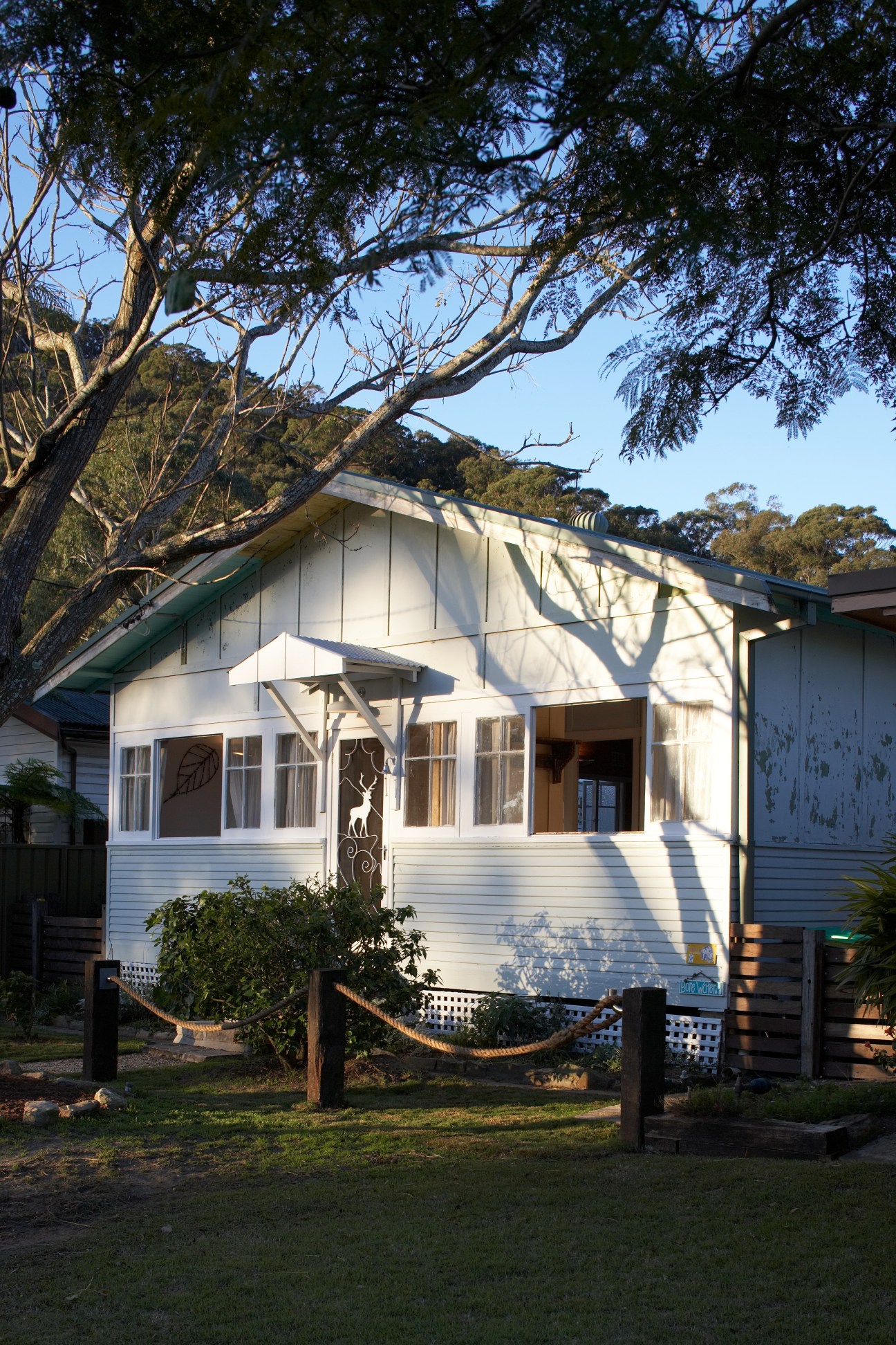 White weatherboard beach cottage with peeling paint under sprawling tree branches.
