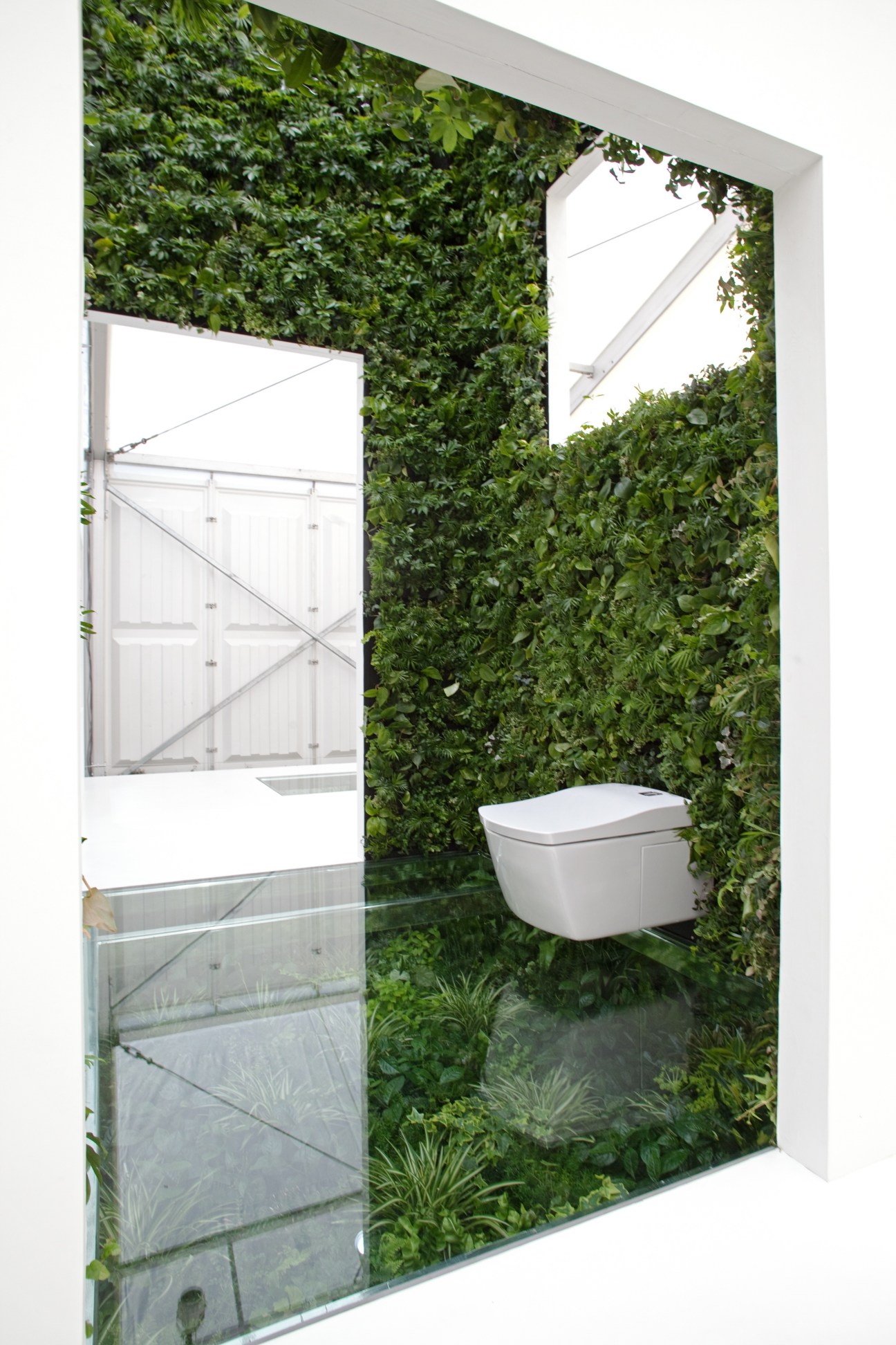 Modern white toilet mounted on wall surrounded by lush green plant foliage in minimalist bathroom space