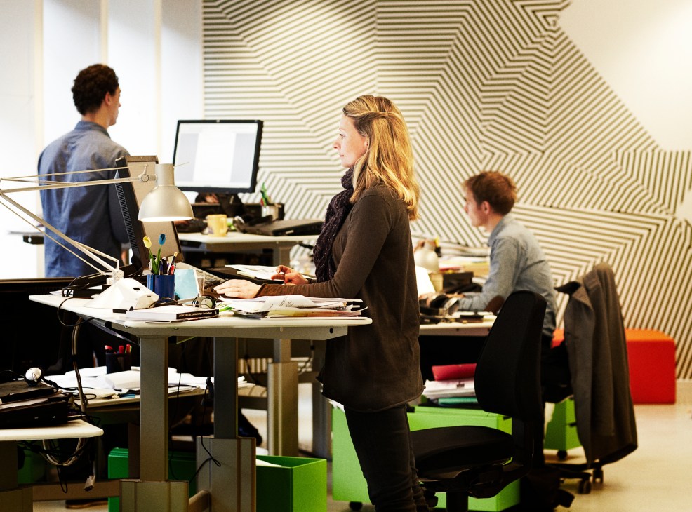 Staff work at standing desks in an open-plan office with geometric patterned wall art at Mindlab.