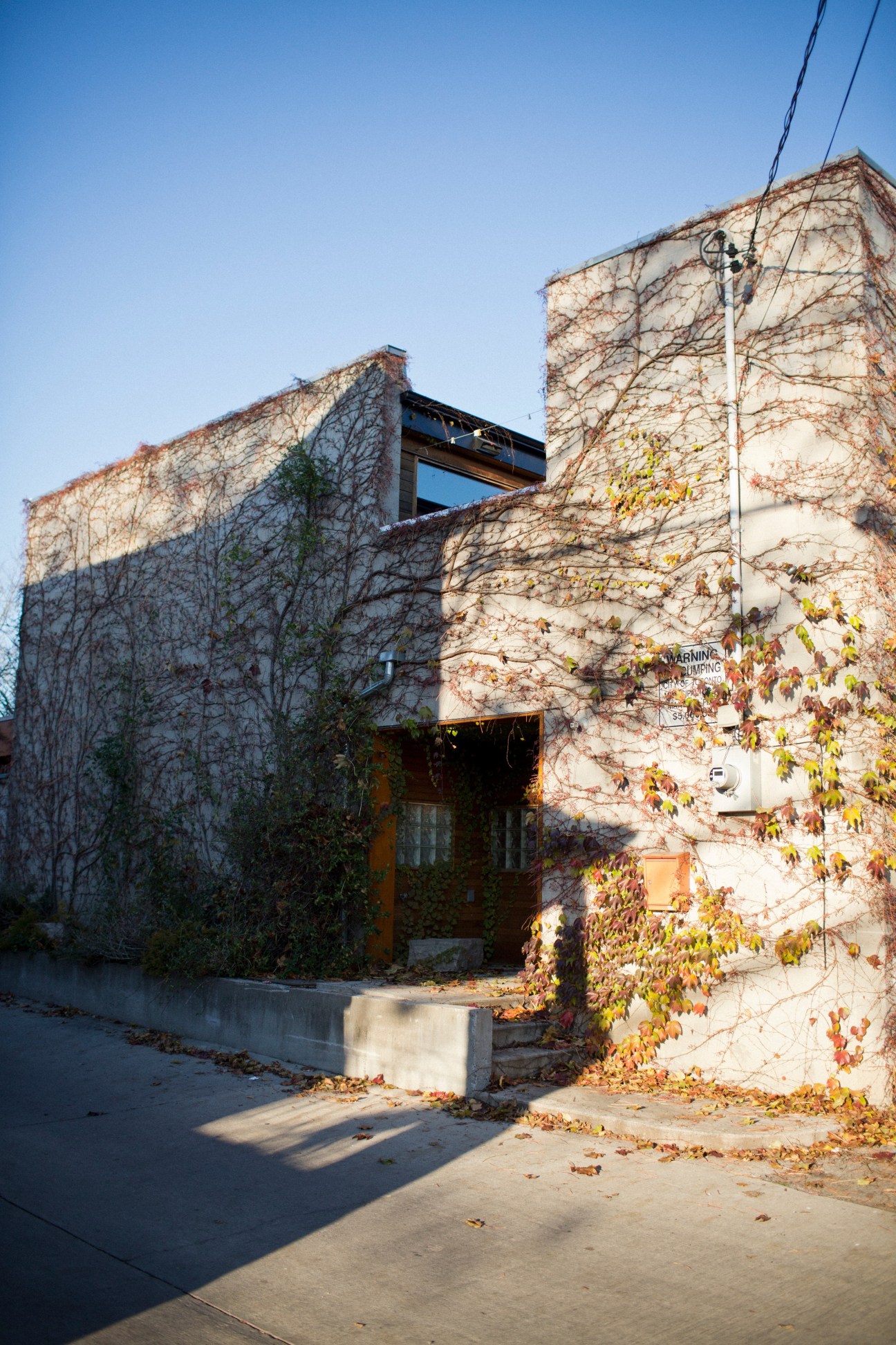 Modern redbrick house with ivy-covered walls and a contemporary window addition in autumn.