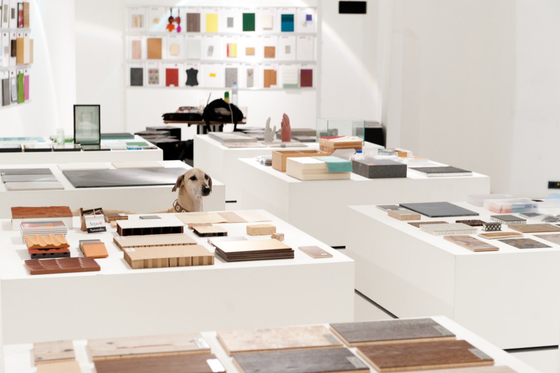 OfRoom material agency showroom displaying various building materials and samples on white tables with a dog present.