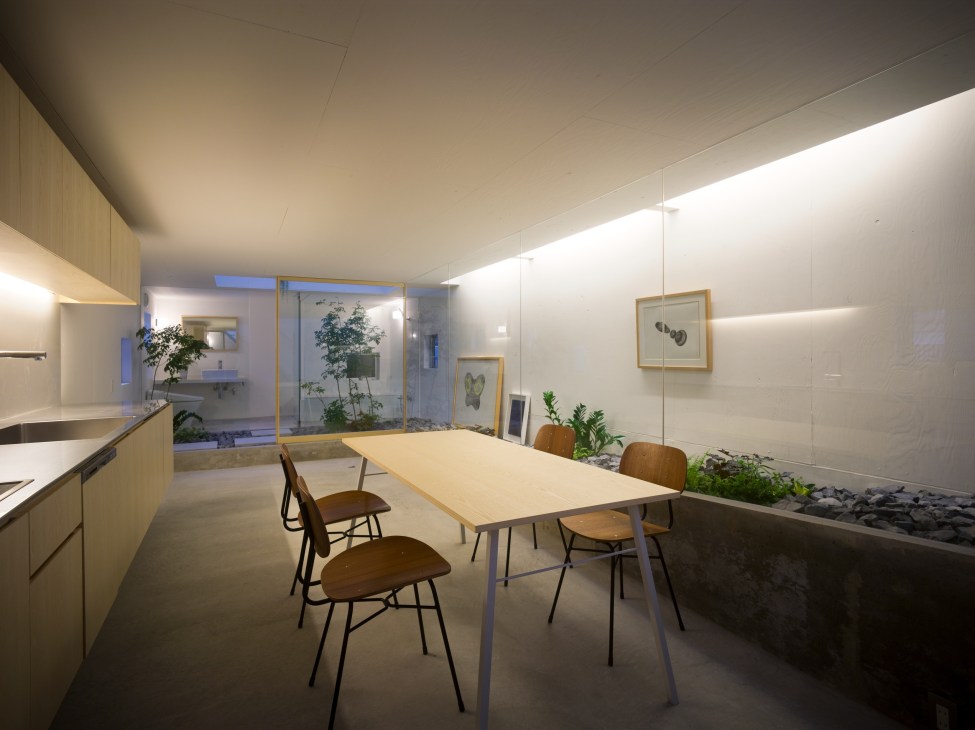 Modern kitchen and dining area with wooden furniture, white walls, skylights, and an indoor courtyard garden visible through glass walls.