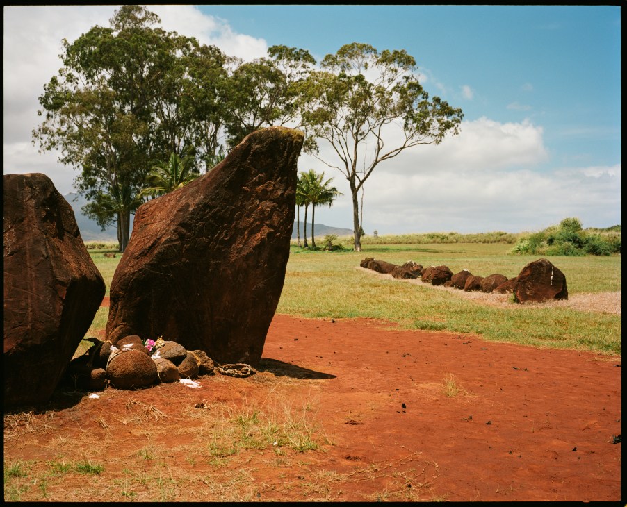 Ancient sacred Hawaiian stones at Kukaniloko with eucalyptus trees and red earth landscape.