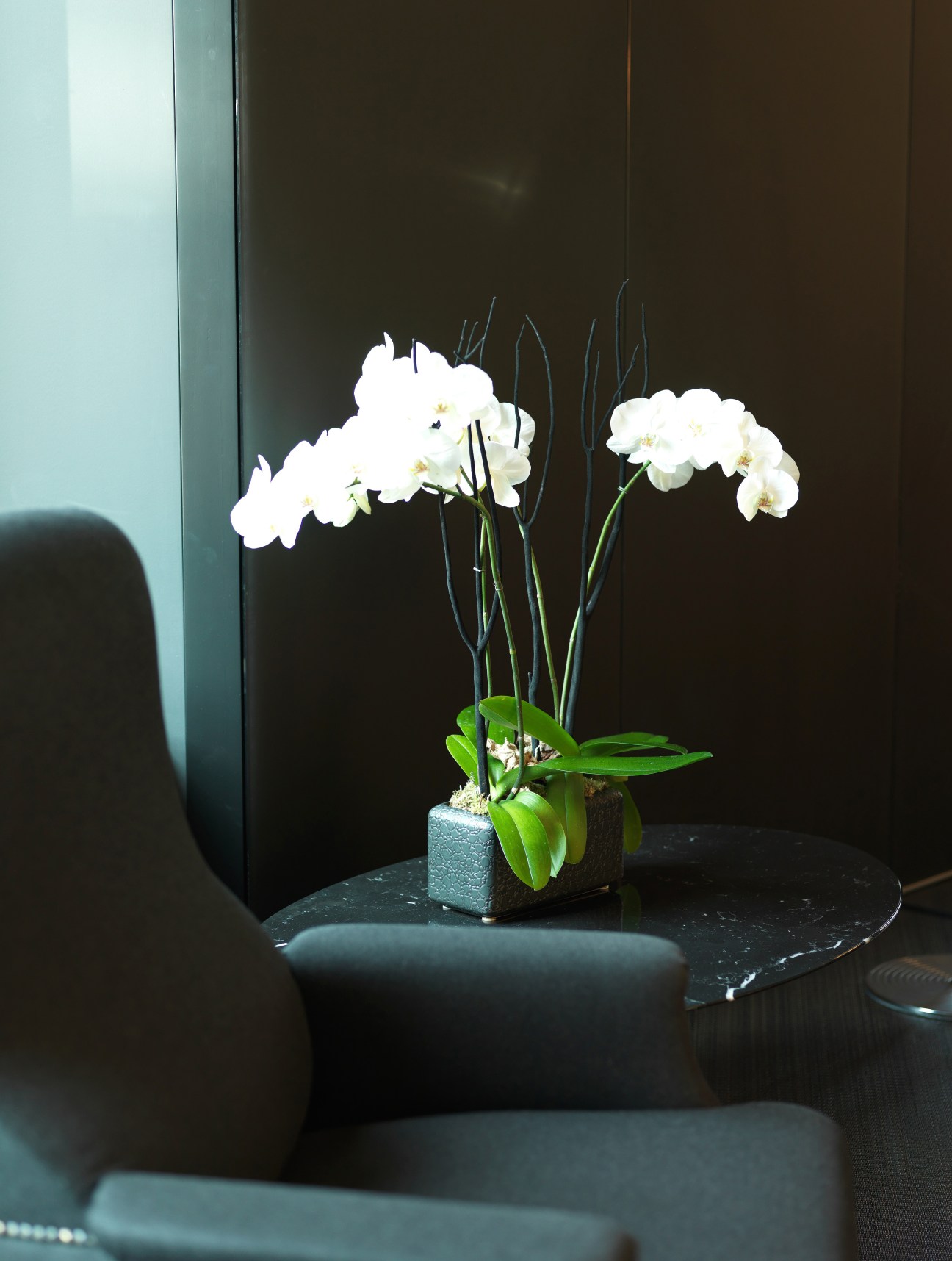 White orchid flowers in a textured pot on a dark table with black chairs against dark walls.