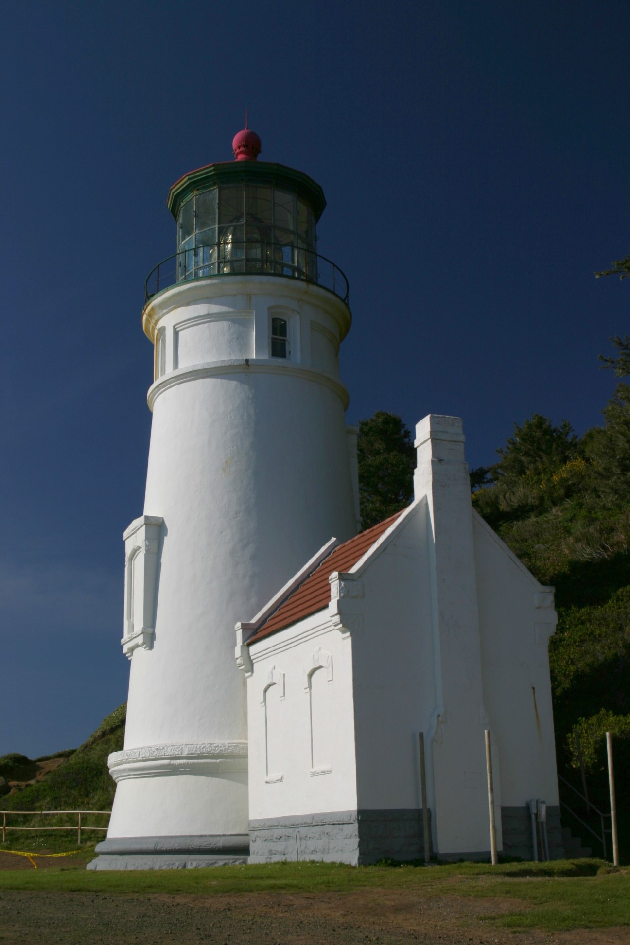 White Heceta Head Lighthouse with red lantern room under clear blue sky on Oregon coast.
