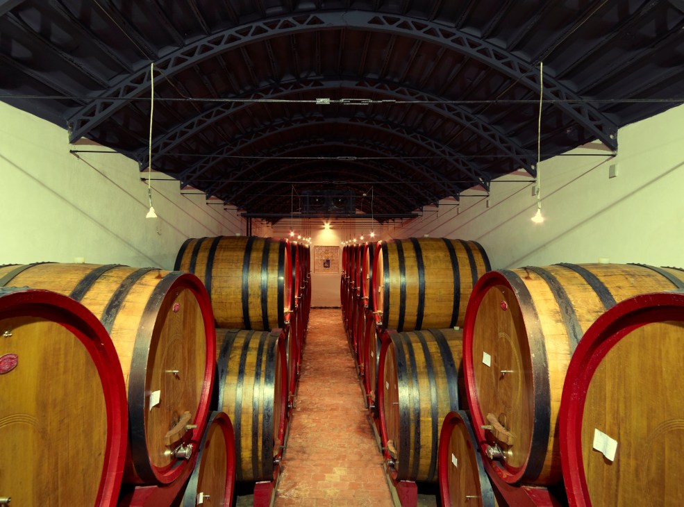 Wine cellar at the Regaleali estate with wooden barrels with red bands lined in rows.