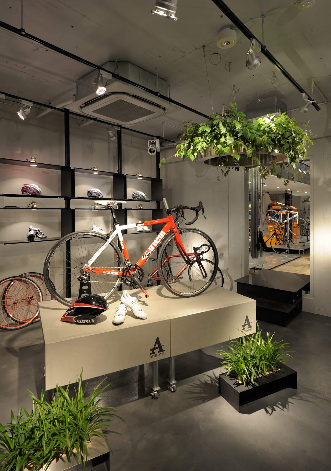 Athlonia bike shop interior with red and white bicycle on display platform and shelving